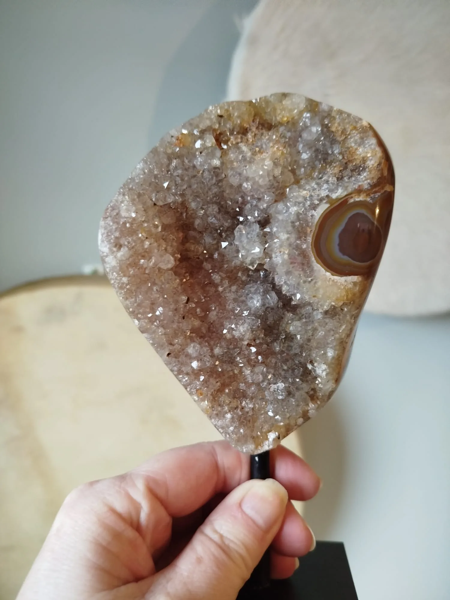 rotsagaat op standaard