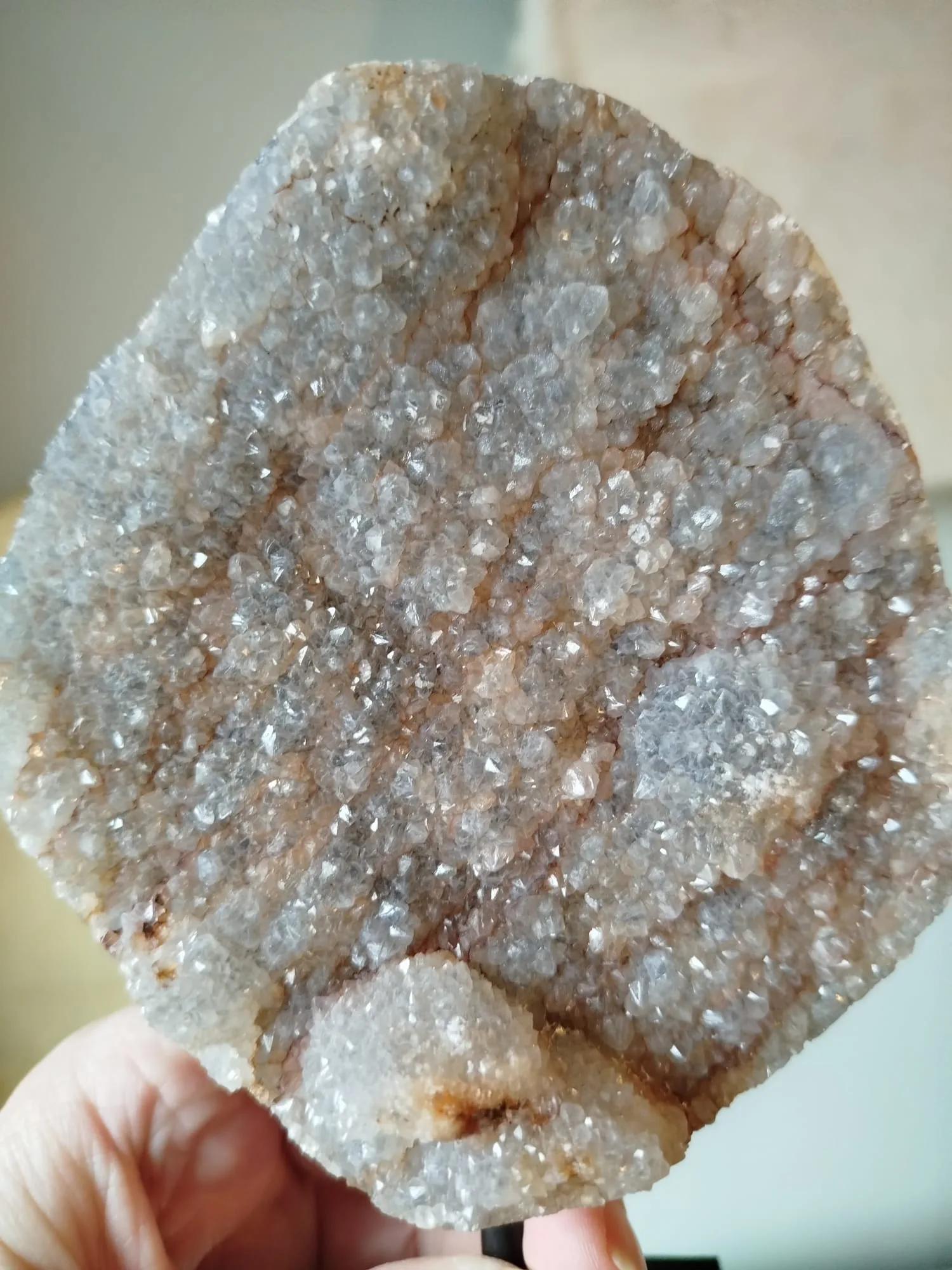 rotsagaat op standaard